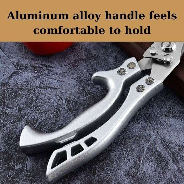 Multi-Purpose Kitchen Scissors TK